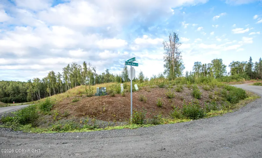 L19 Northern Skies, Wasilla, AK 99623 - #3