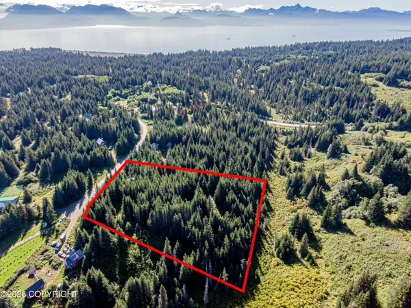 57875 Blueberry Glen Court, Homer, AK 99603