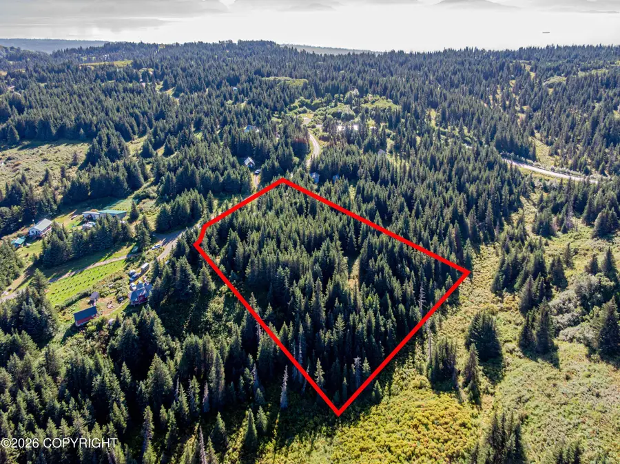 57875 Blueberry Glen Court, Homer, AK 99603 - #2