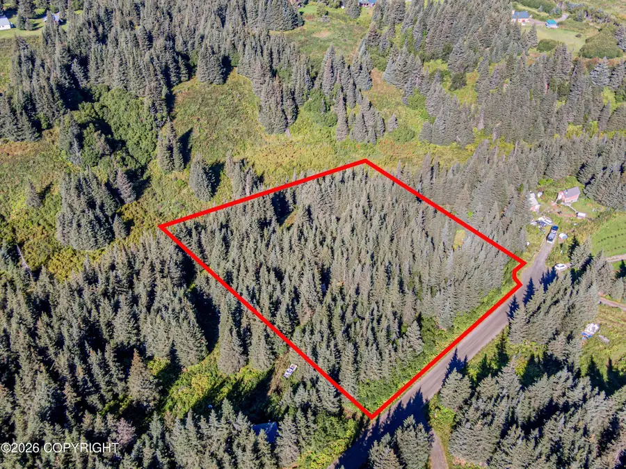 57875 Blueberry Glen Court, Homer, AK 99603 - #3