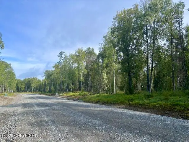 L6 S Spatterdock Street, Talkeetna, AK 99676 - #2