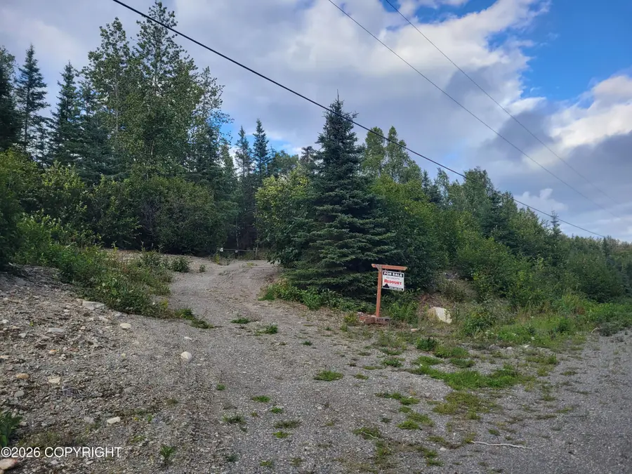 49132 Dallas Avenue, Nikiski, AK 99635 - #3