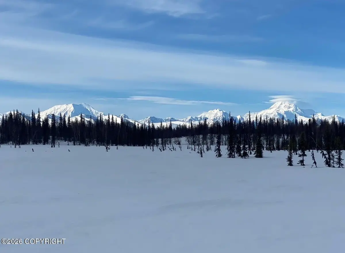 9704 S Kenny Creek Loop, Trapper Creek, AK 99683 - #1