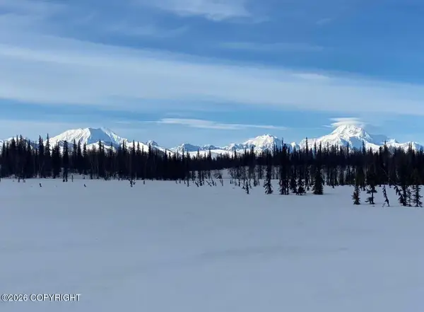 9704 S Kenny Creek Loop, Trapper Creek, AK 99683