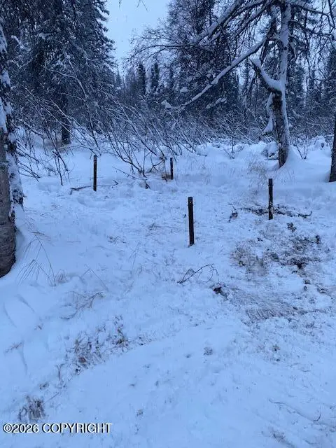 9704 S Kenny Creek Loop, Trapper Creek, AK 99683 - #2