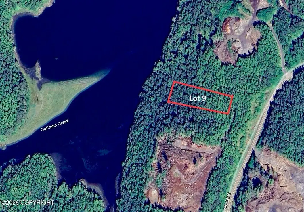133 Grassy Flat Lane, Coffman Cove, AK 99918 - #1