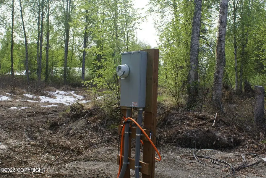 32906 S Mount Brooks Drive, Talkeetna, AK 99676 - #3