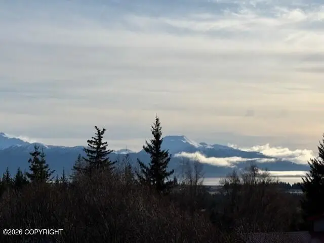 4924 Thompson Drive, Homer, AK 99603 - #3
