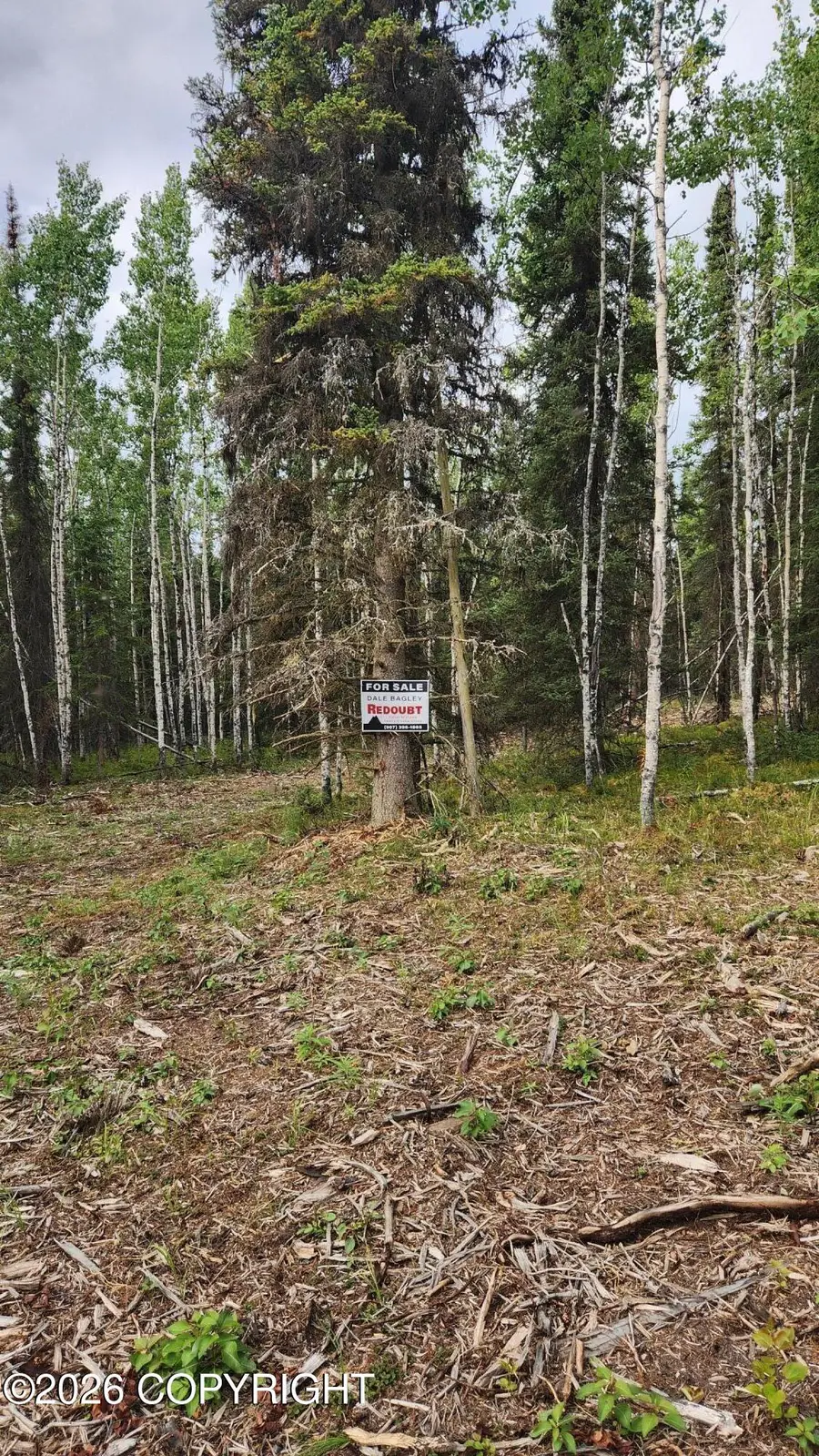 37583 Scout Street, Sterling, AK 99672 - #2