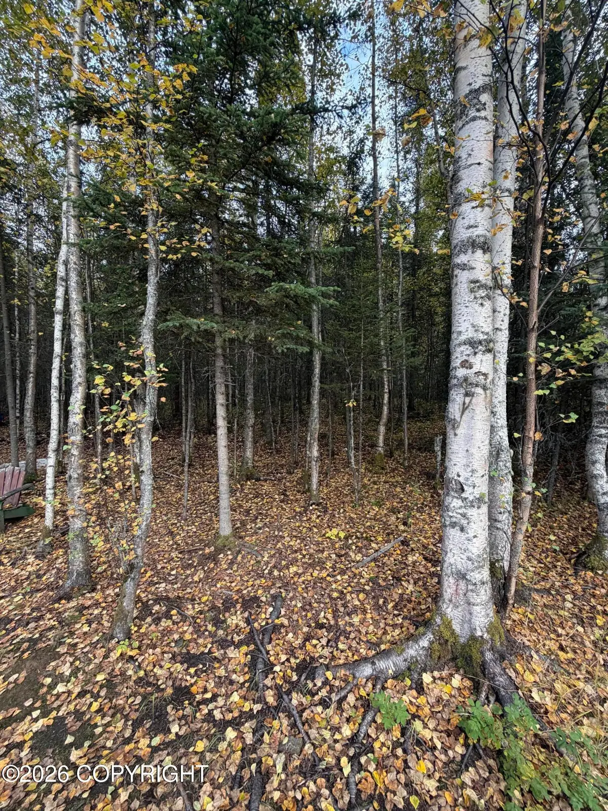6801 W Opal Street, Wasilla, AK 99623 - #1