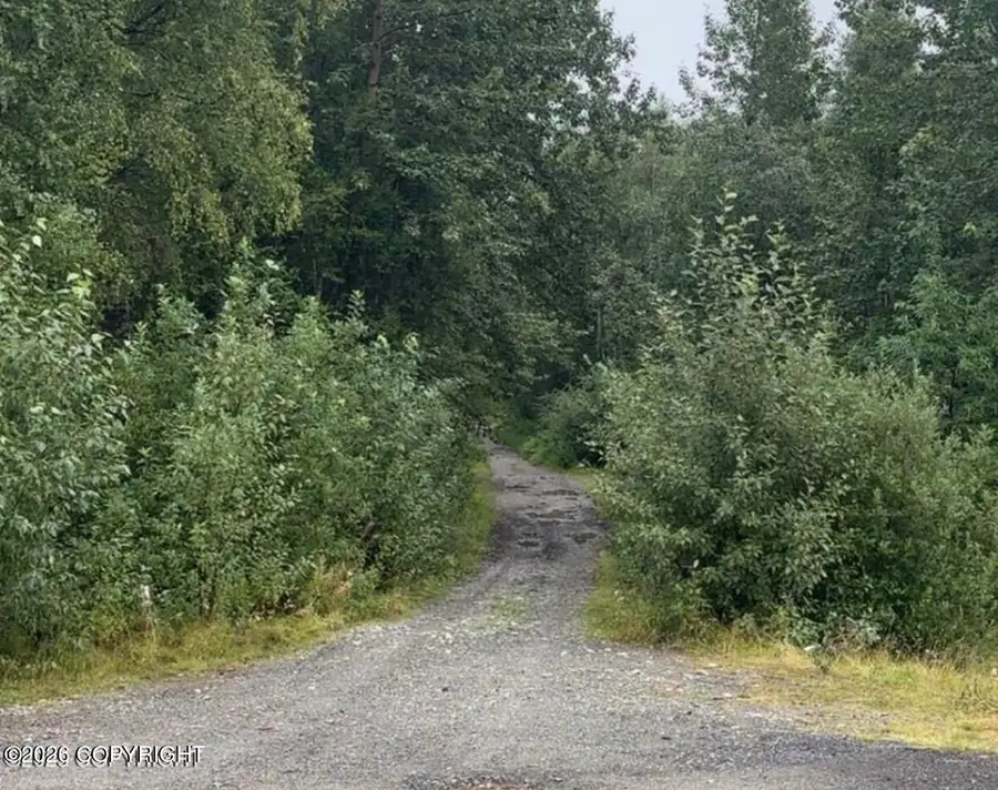 24100 W Johnson Drive, Willow, AK 99688 - #3