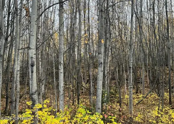 5082 S Horseshoe Lake Road, Big Lake, AK 99652