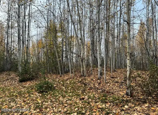 Tr A S Horseshoe Lake Road, Big Lake, AK 99652