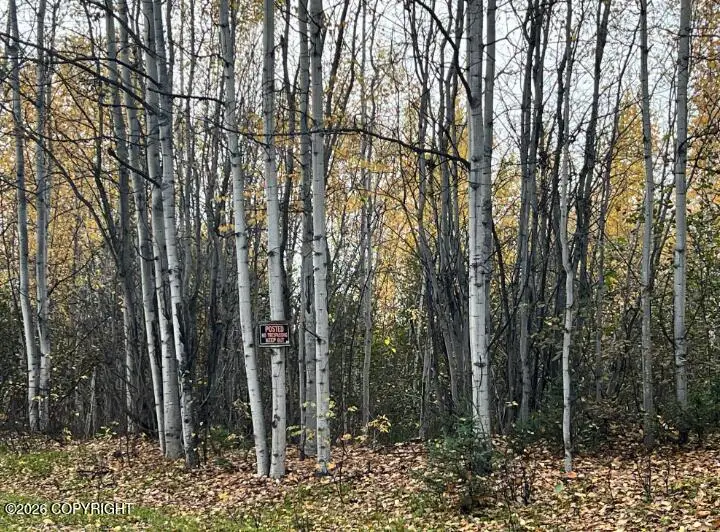 Tr A S Horseshoe Lake Road, Big Lake, AK 99652 - #2