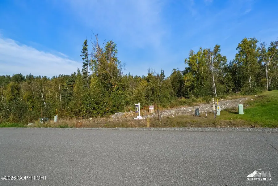 11901 E Kingdom Avenue, Palmer, AK 99645 - #3