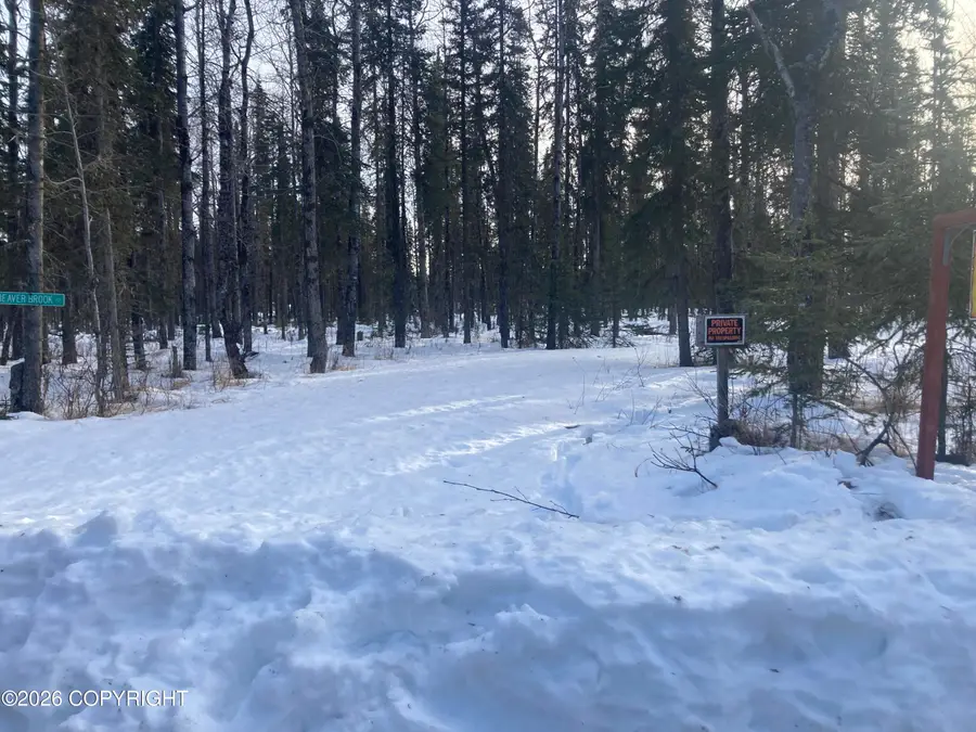51201 Beaver Brook Road, Kasilof, AK 99610 - #2