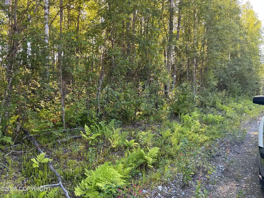 49145 S Denali View Drive, Willow, AK 99688 - #2
