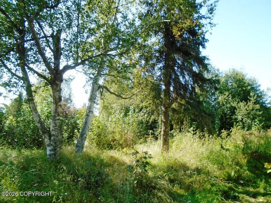 L8 Tanaga Circle, Anchorage, AK 99504 - #2