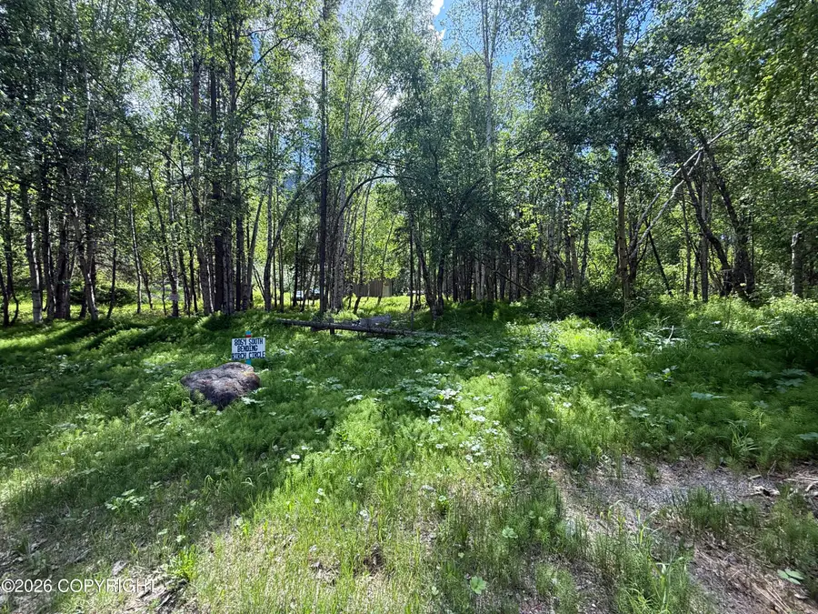 8054 S Bending Birch Circle, Palmer, AK 99645 - #3