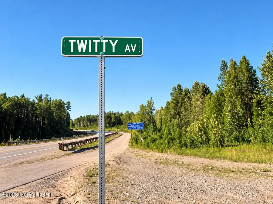 19802 W Twitty Avenue, Willow, AK 99688 - #2