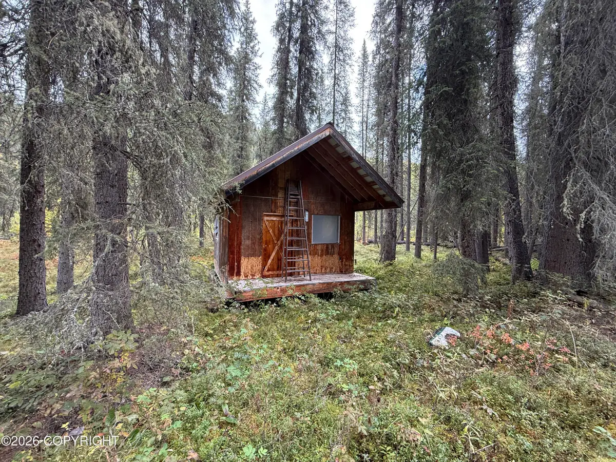 0341 Plus Trail Only Suslositna Creek Trail, Mentasta Lake, AK 99780 - #1