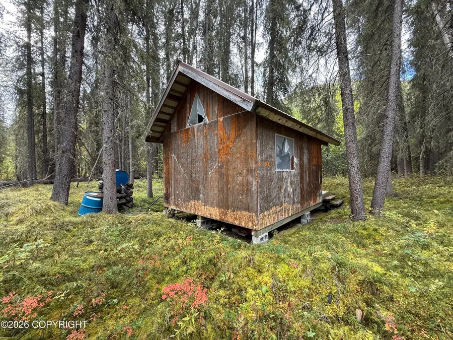 0341 Plus Trail Only Suslositna Creek Trail, Mentasta Lake, AK 99780 - #2