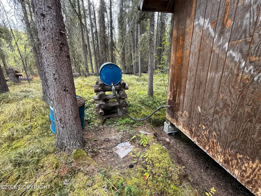 0341 Plus Trail Only Suslositna Creek Trail, Mentasta Lake, AK 99780 - #3