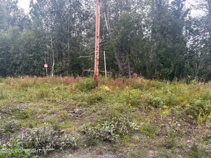 8840 W Mcquire Lane, Wasilla, AK 99623 - #2