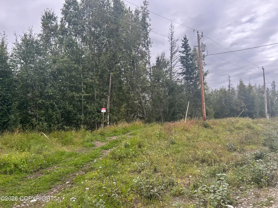 8840 W Mcquire Lane, Wasilla, AK 99623 - #3