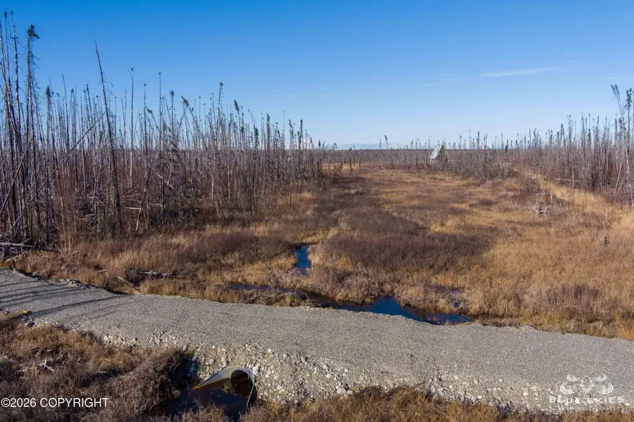 41357 W Krantz Road, Willow, AK 99688 - #2