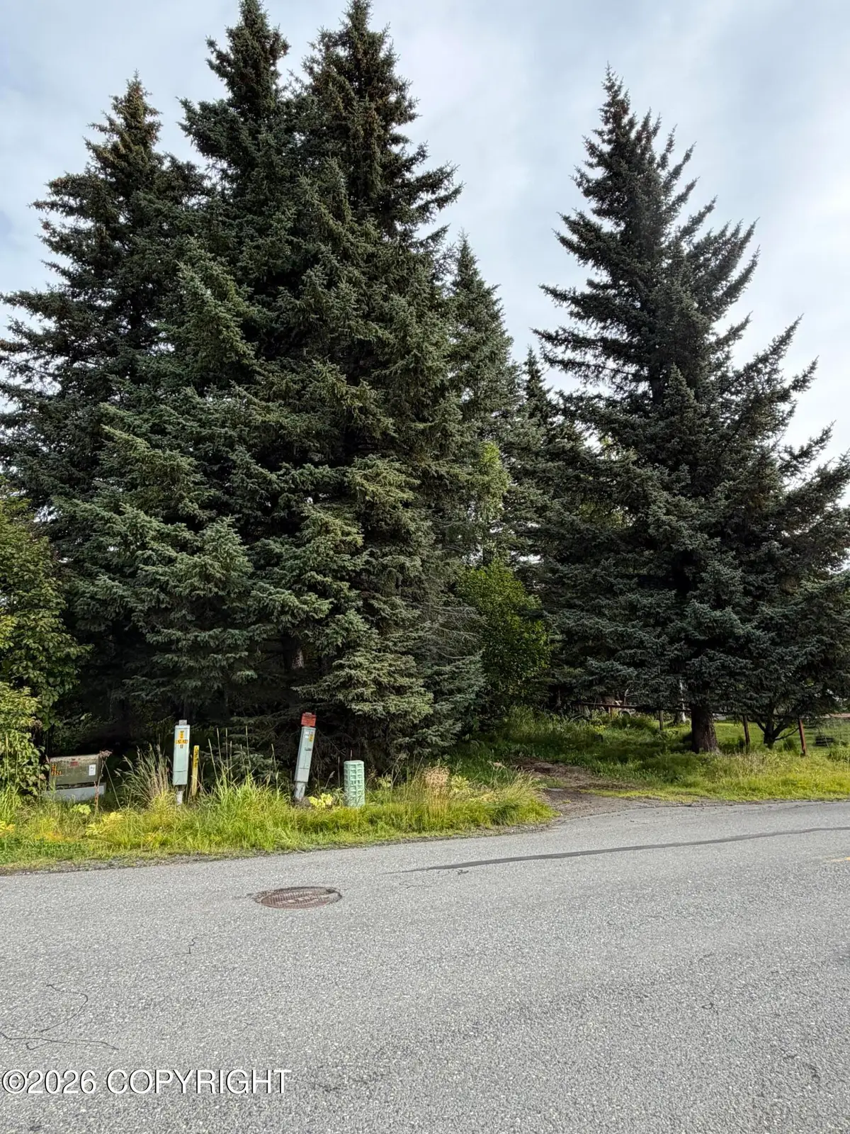 4768 Sabrina Road, Homer, AK 99603 - #1