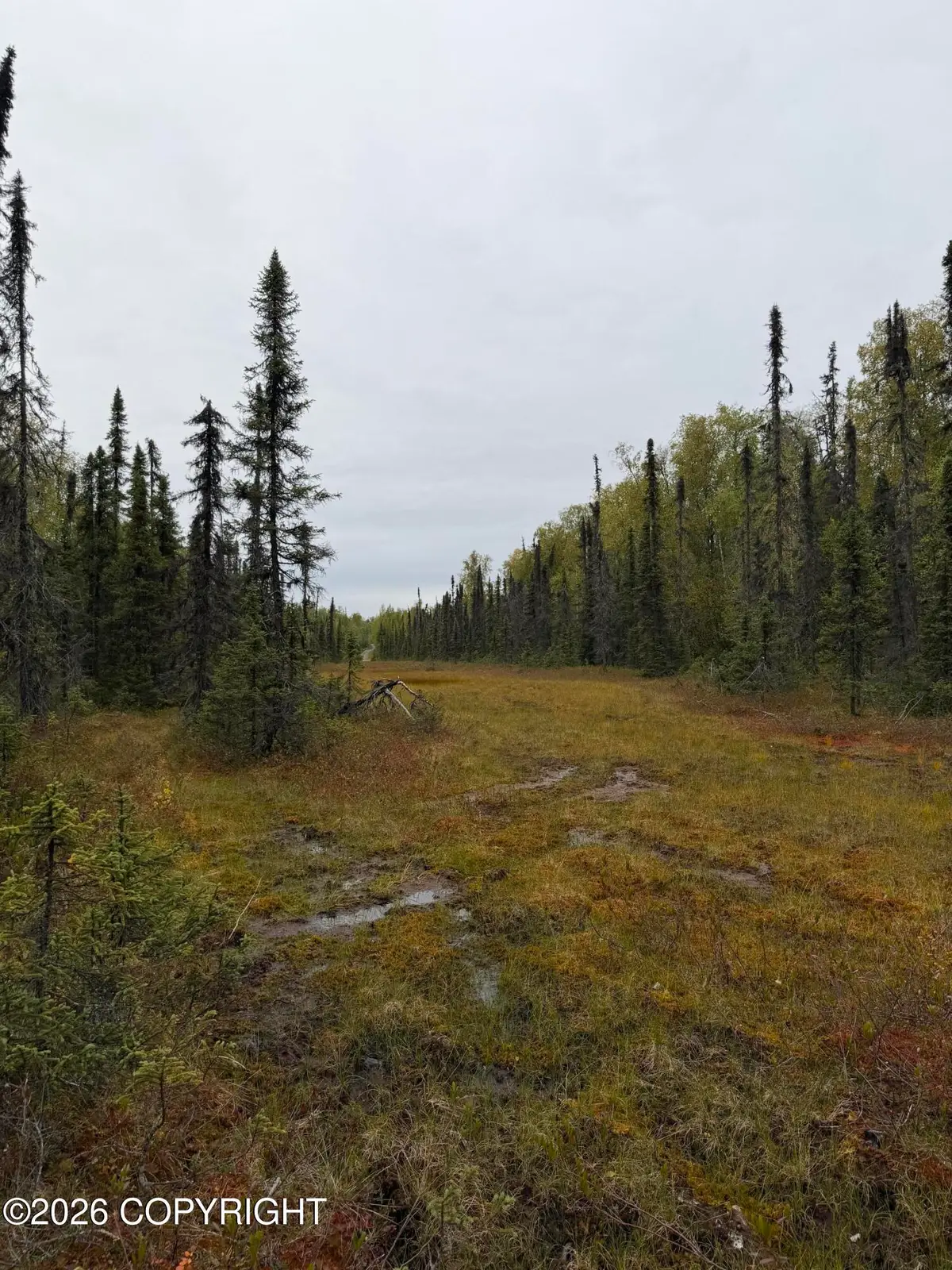 38554 S Malaspina Loop, Talkeetna, AK 99676 - #1