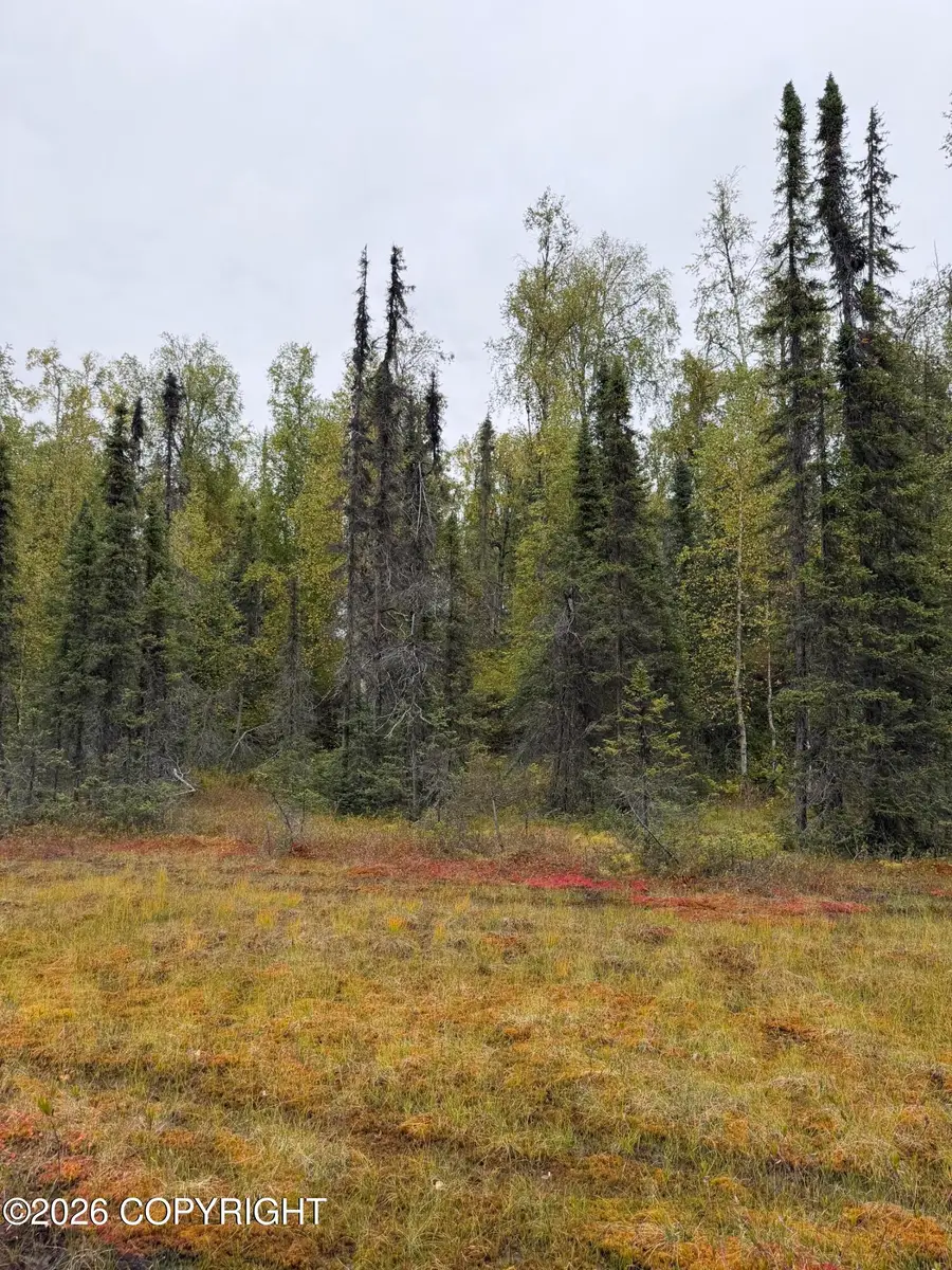38554 S Malaspina Loop, Talkeetna, AK 99676 - #2
