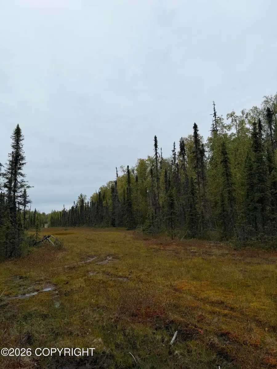 38554 S Malaspina Loop, Talkeetna, AK 99676 - #3