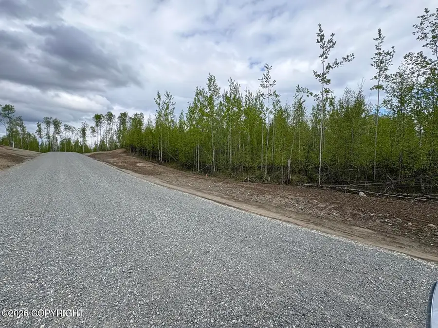 3170 S Lions Circle, Big Lake, AK 99623 - #2