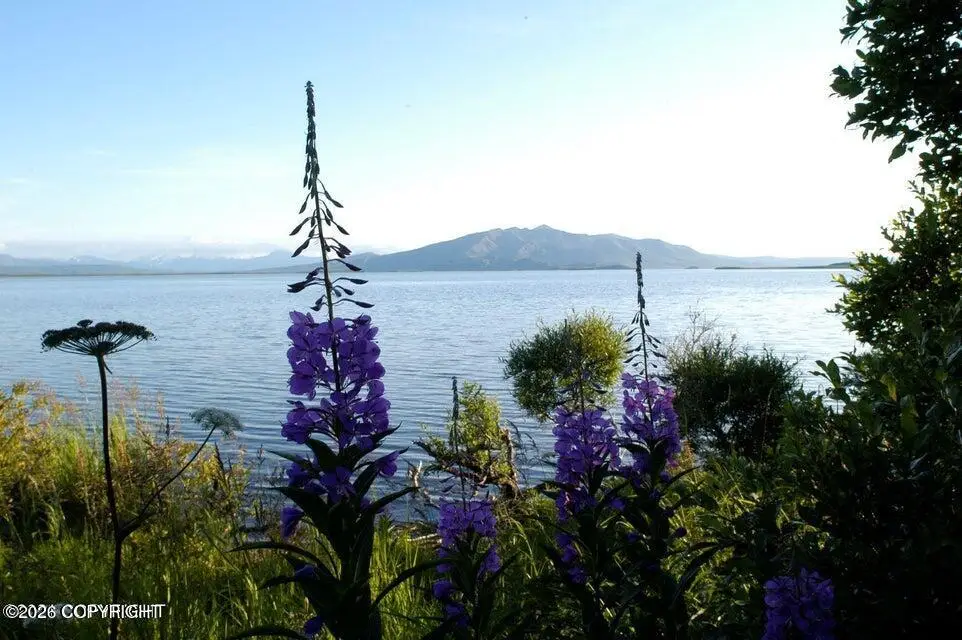L2-3 N No Road Trail, Pilot Point, AK 99649 - #1