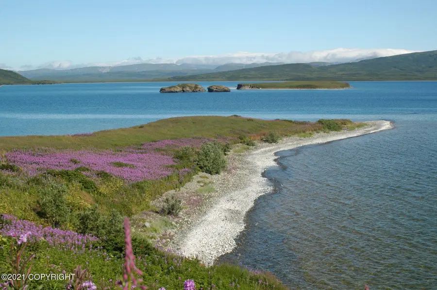 L2-3 N No Road Trail, Pilot Point, AK 99649 - #2