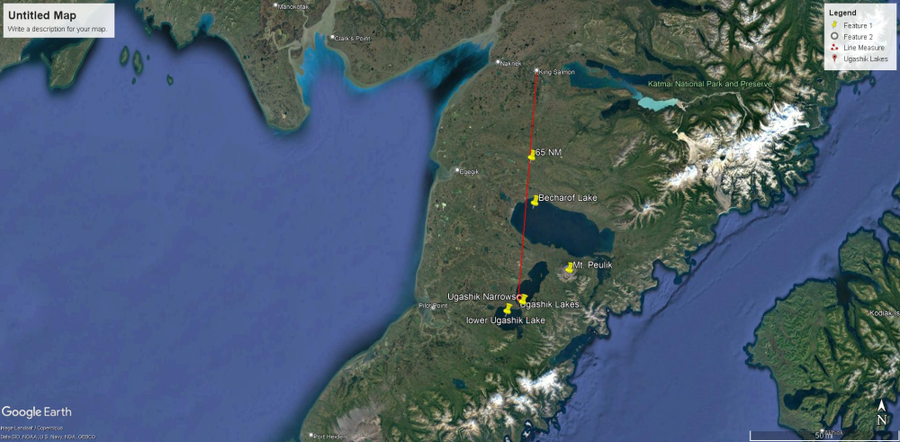 L2-3 N No Road Trail, Pilot Point, AK 99649 - #3