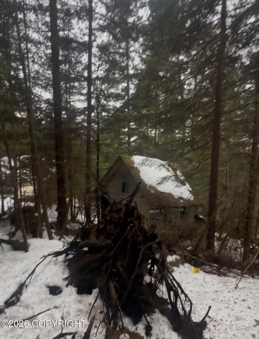 12438 Roundtable Drive, Seward, AK 99664 - #3