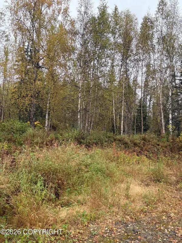 21174 E Alitak Road, Talkeetna, AK 99676