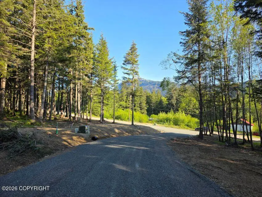 Lot 2 Hill Side Loop, Haines, AK 99827 - #3