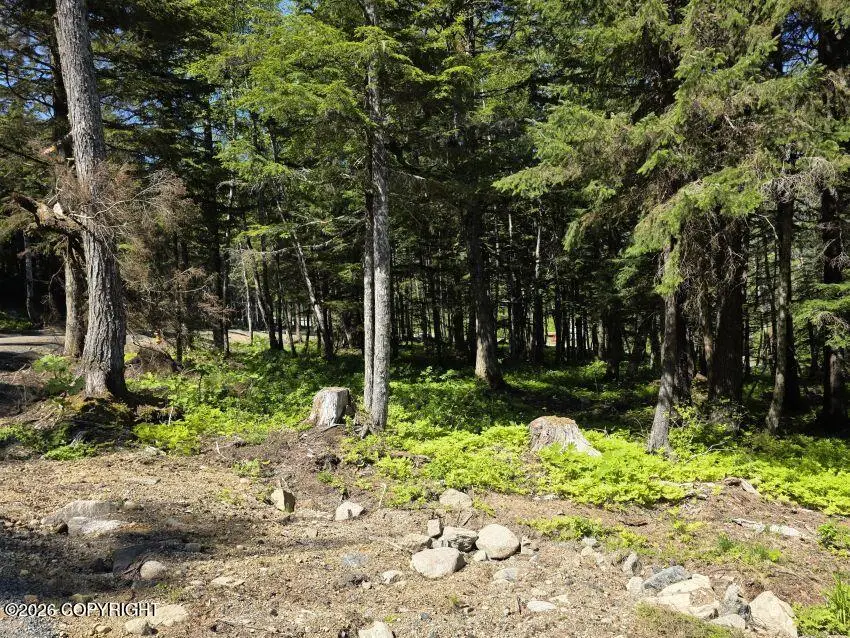 Lot 3 Hill Side Loop, Haines, AK 99827 - #2