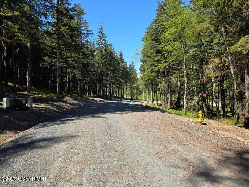 Lot 3 Hill Side Loop, Haines, AK 99827 - #3