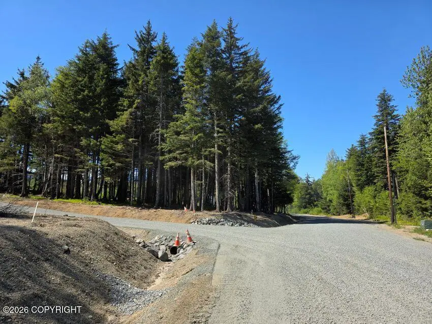 Lot 4 Major Road, Haines, AK 99827 - #1
