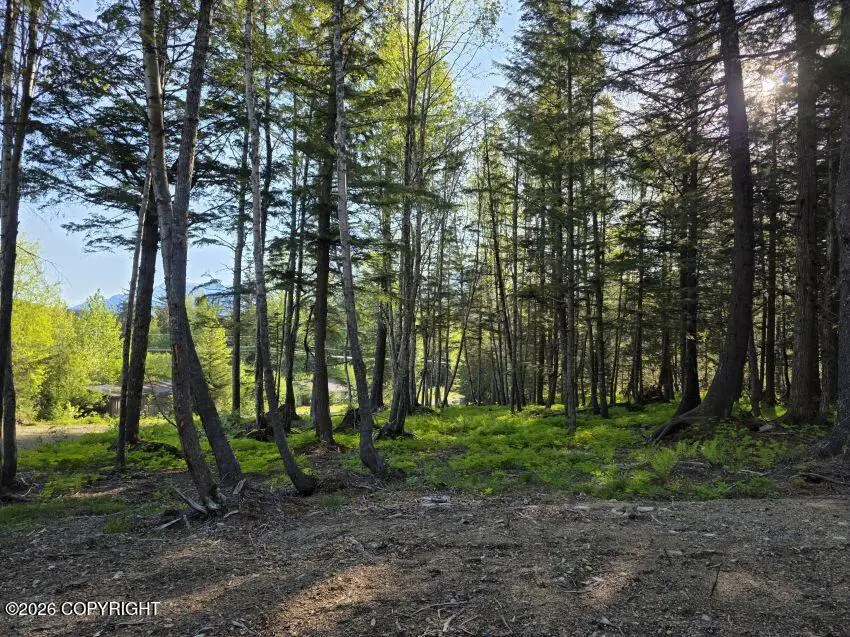 Lot 4 Major Road, Haines, AK 99827 - #3