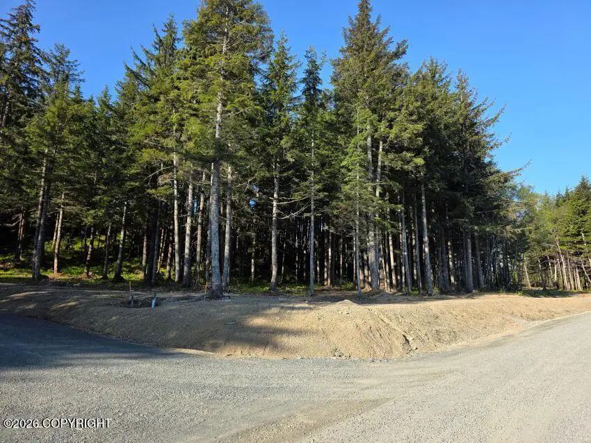 Lot 5 Major Road, Haines, AK 99827 - #2