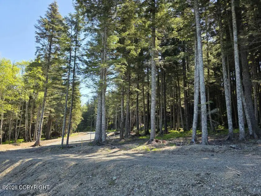 Lot 6 Hill Side Loop, Haines, AK 99827 - #2