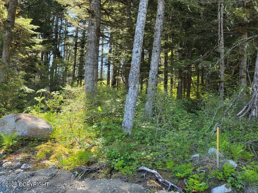 Lot 8 Hill Side Loop, Haines, AK 99827 - #2
