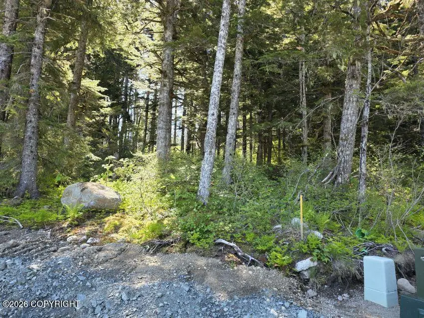 Lot 8 Hill Side Loop, Haines, AK 99827 - #3