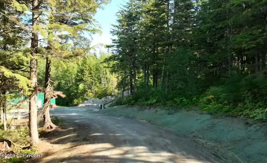 Lot 9 Hill Side Loop, Haines, AK 99827 - #2